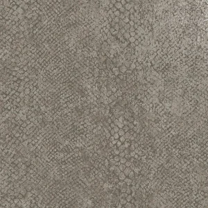 Boa Taupe
