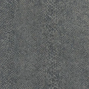 Boa Navy