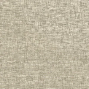 Brocade Cream