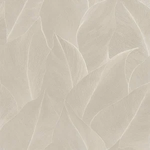 Anthurium Cream