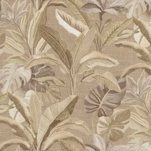 Emerson Tropical Cappuccino
