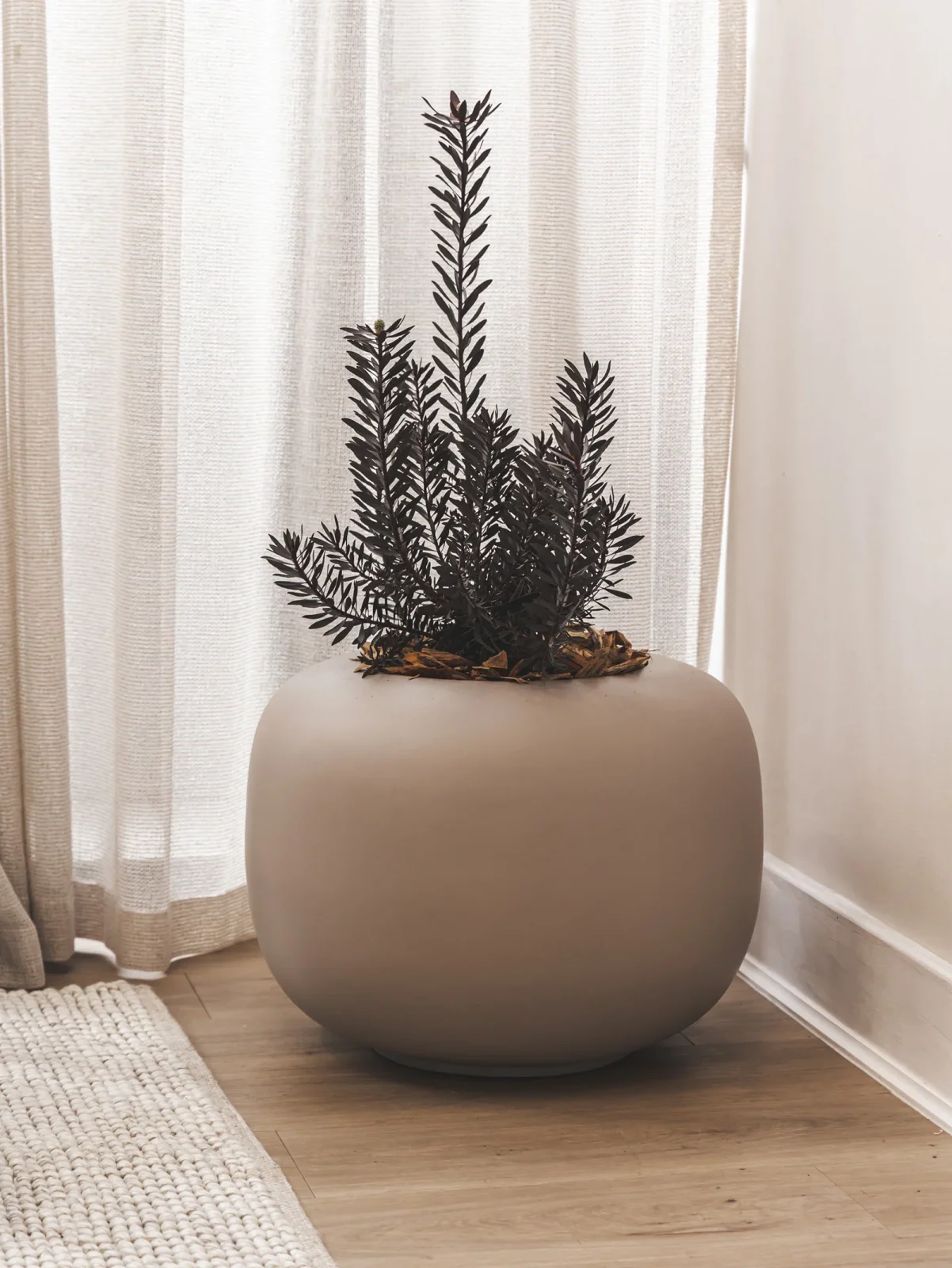 Arizona Planter in Stone - Image 4