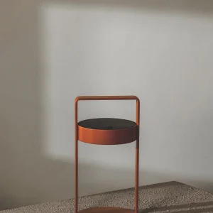 Rayz Solar Light