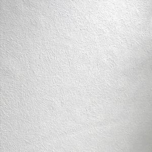 Lapwing 25m Paintable Wallpaper