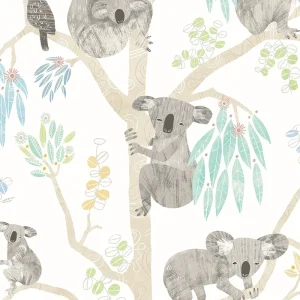 Kooka Koala Sky Wallpaper