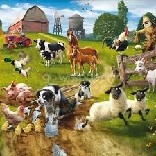 Farmyard Fun Murals